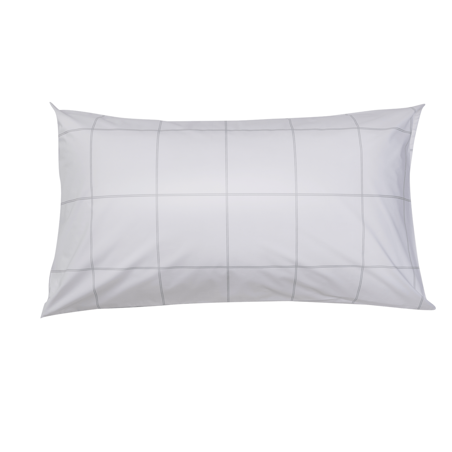 Light Grey Frame